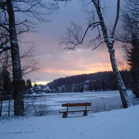 Am Apartment Litschau