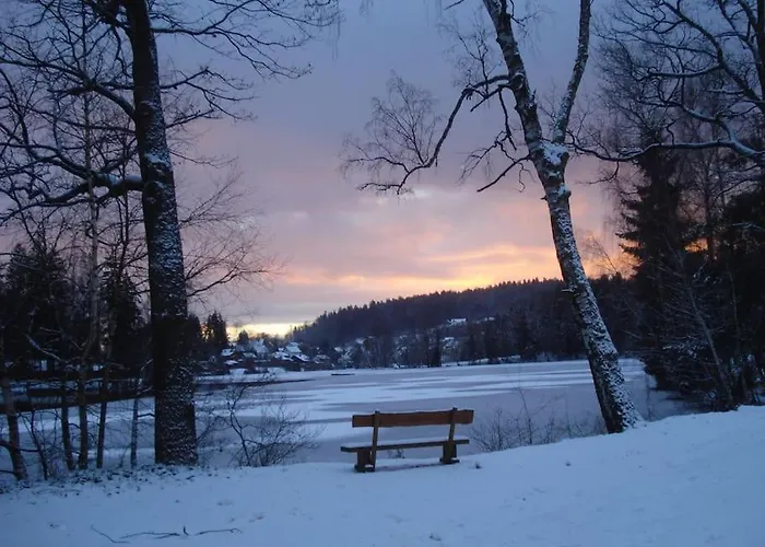 Am Apartamento Litschau
